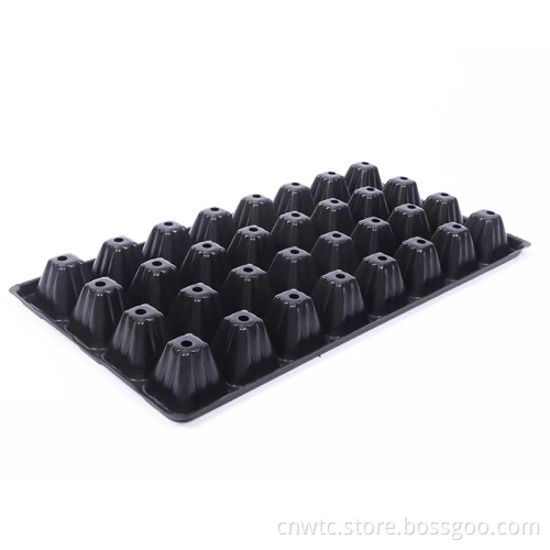 Plastic Seedling Trays: 21, 50, and 128 Cell Garden Germination and Planting Trays for Nurseries and Seed Starting